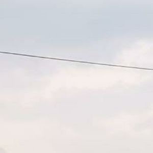 Meet your Posher, Ella